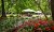 BBQ Special: A Countryside Weekend Getaway Close to the City Center