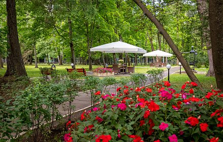 BBQ Special: A Countryside Weekend Getaway Close to the City Center